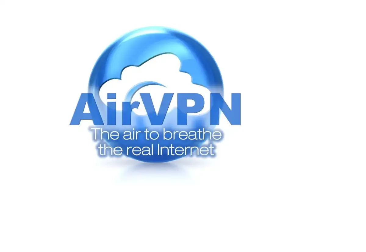文章:《Torrent的最佳VPN：速度、隐私和支持至关重要》_配图4