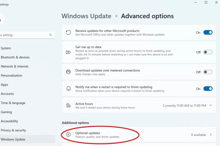 文章:《如何检查Windows 11更新》_配图5