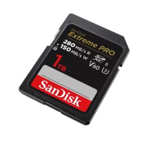 文章:《SanDisk展示了世界上第一张大得惊人的4TB SD卡》缩略图