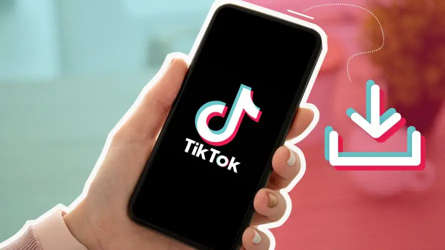 文章:《为TikTok禁令做准备：如何下载TikTok视频(无水印)》_配图